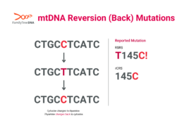 mtDNA reversion mutation example showing a mutation that changes and then returns to its original nucleotide with RSRS and rCRS notation