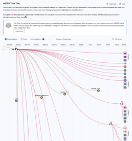 mtDNA Time Tree showing maternal lineage branches over time with connections to ancient and modern individuals