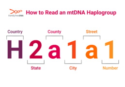 mtDNA haplogroup example showing H2a1a1 broken into hierarchical levels like an address