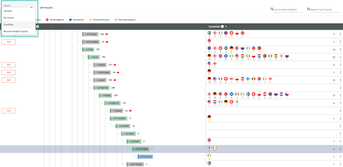 Interpreting Y-DNA Test Results: Haplogroups - FamilyTreeDNA Blog