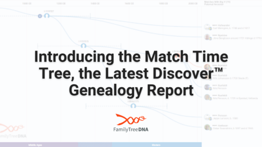 Introducing the Match Time Tree, the Latest Discover Genealogy Report