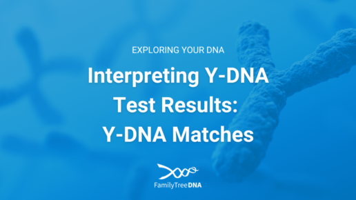 Interpreting Y-DNA Test Results: Y-DNA Matches Featured Image