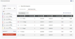 Chromosome Browser detailed segment data showing shared DNA segment locations, sizes, and centimorgan values