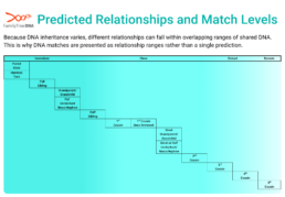 Infographic showing overlapping DNA match relationship ranges from close relatives to distant cousins