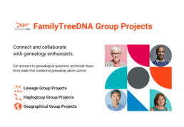 Advanced Matches tool showing filters and match results table for autosomal DNA, Y-DNA, and mtDNA comparisons