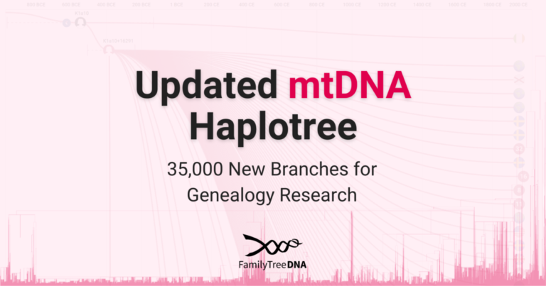 Graphic displaying 'Updated mtDNA Haplotree – 35,000 New Branches for Genealogy Research' with a background visualization of the expanded maternal lineage tree. This update enhances genetic genealogy research by refining mtDNA haplogroup classifications.