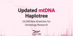Graphic displaying 'Updated mtDNA Haplotree – 35,000 New Branches for Genealogy Research' with a background visualization of the expanded maternal lineage tree. This update enhances genetic genealogy research by refining mtDNA haplogroup classifications.