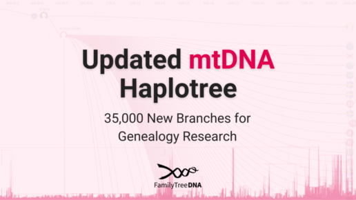 Graphic displaying 'Updated mtDNA Haplotree – 35,000 New Branches for Genealogy Research' with a background visualization of the expanded maternal lineage tree. This update enhances genetic genealogy research by refining mtDNA haplogroup classifications.