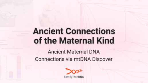 Ancient Maternal DNA Connections via mtDNA Discover
