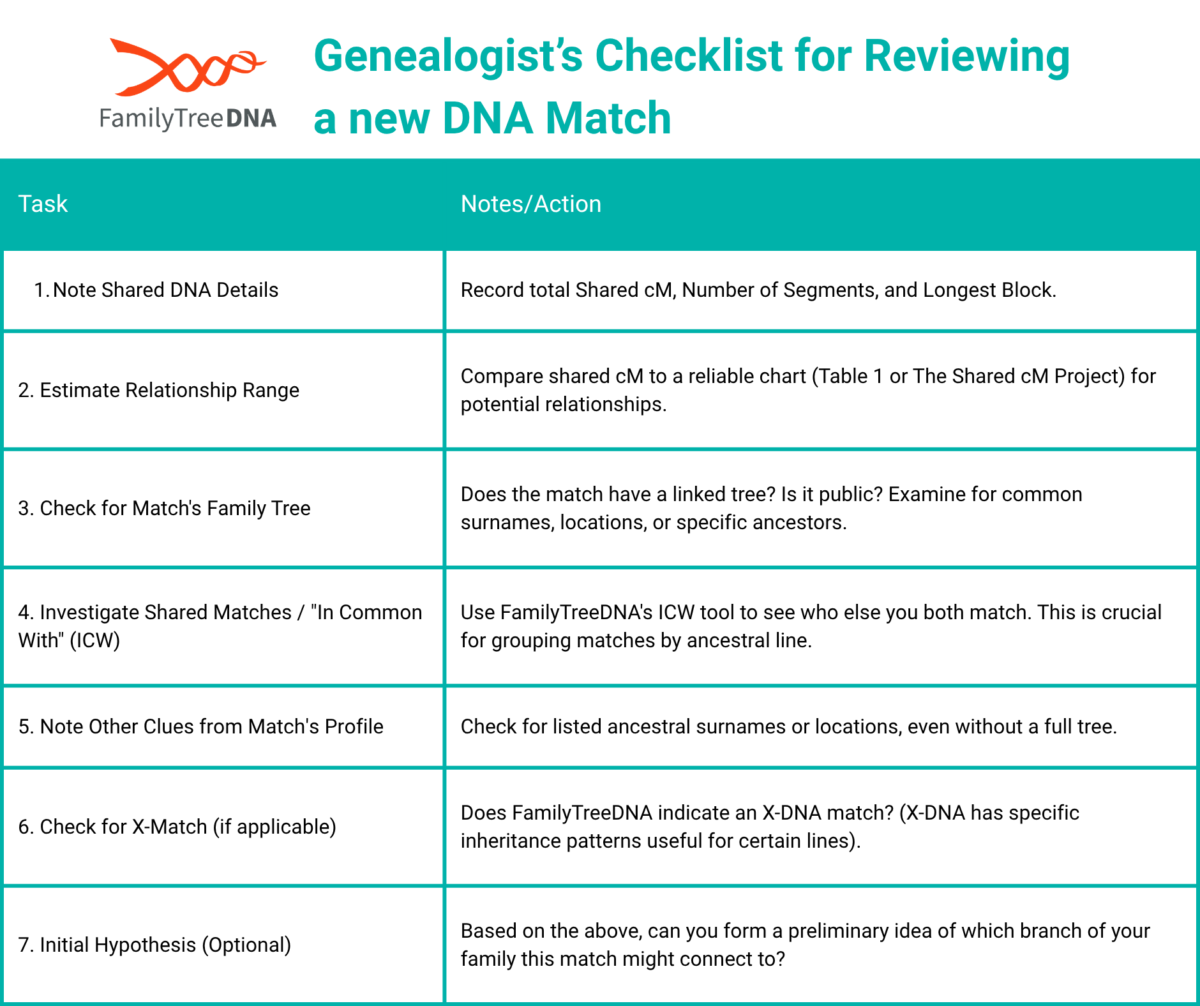 A checklist for reviewing a new DNA match on FamilyTreeDNA, including shared DNA details, relationship estimates, family trees, ICW matches, and X-Match information.