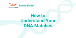 How to Understand Your DNA Matches
