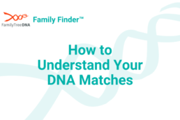 How to Understand Your DNA Matches