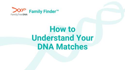 How to Understand Your DNA Matches