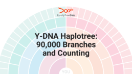 Y-DNA Haplotree: 90,000 Branches and Counting
