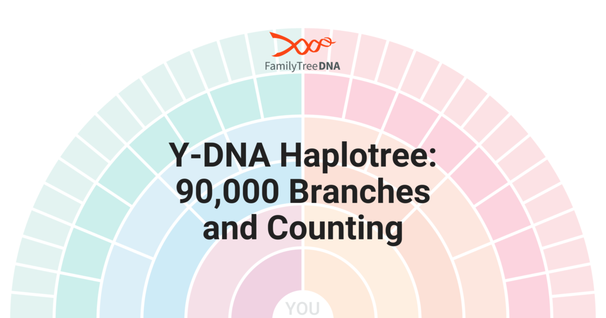 FamilyTreeDNA’s Y-DNA Haplotree: 90,000 Branches and Counting ...