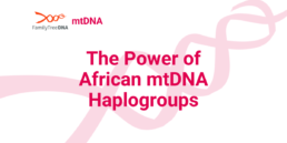 The Power of African mtDNA Haplogroups