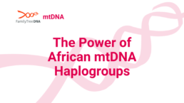 The Power of African mtDNA Haplogroups