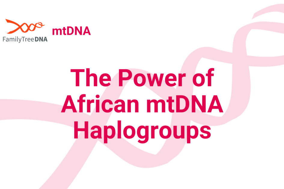 The Power of African mtDNA Haplogroups