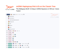 FamilyTreeDNA Classic Tree showing Haplogroup B4a1a1b, known as the Malagasy Motif, with maternal connections from Madagascar to Asia and the Americas.
