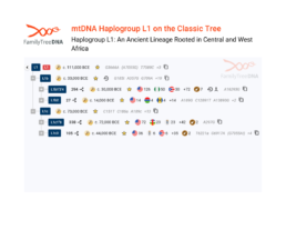 FamilyTreeDNA Classic Tree view of Haplogroup L1 showing subclades L1b and L1c with estimated dates and sample locations.