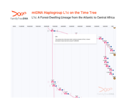 Time Tree view of mtDNA Haplogroup L1c showing its estimated origin around 72,558 BCE and subclade branching.