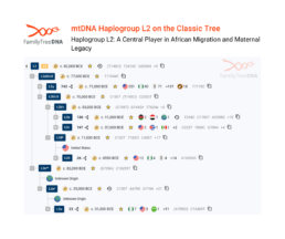 FamilyTreeDNA Classic Tree of Haplogroup L2 showing subclades L2a–L2e with estimated ages and global test results.
