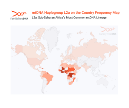 Global map showing frequency of mtDNA Haplogroup L2a, with highest concentrations across Sub-Saharan Africa.