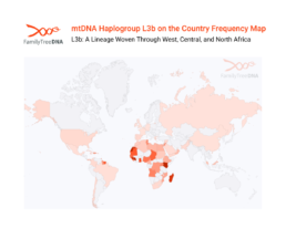 Map showing country-level frequencies of mtDNA Haplogroup L3b, with high concentrations in West and Central Africa.