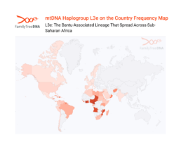 Country-level frequency map of Haplogroup L3e, with high concentrations across Sub-Saharan Africa and the African diaspora.
