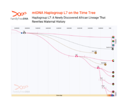 Time Tree view of Haplogroup L7 showing its divergence around 100,000 years ago and subclade development in East Africa.