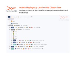 FamilyTreeDNA Classic Tree of Haplogroup U6a5 showing North and West African maternal subclades and diaspora connections.