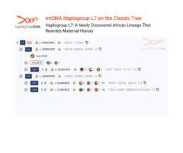 FamilyTreeDNA Classic Tree showing Haplogroup L7 and its subclades L7a and L7b, recently discovered in East African populations.
