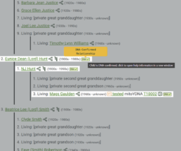 WikiTree descendant tree showing a DNA-confirmed relationship between NJ Hunt and Eunice Dean (Lord) Hunt, and a linked mitoYDNA test for Mags Gaulden.