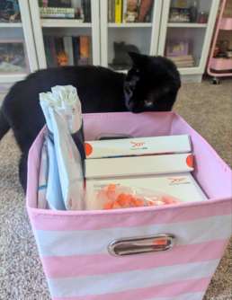 Pink storage bin filled with FamilyTreeDNA kits and supplies, with a black cat peeking in curiously from the side.