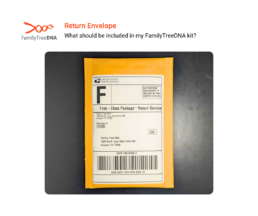 Padded yellow return envelope with prepaid USPS label addressed to FamilyTreeDNA, used for mailing collected DNA samples.
