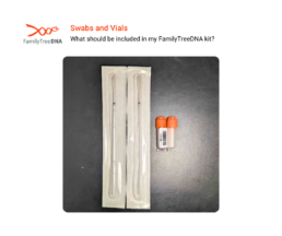 Two sealed buccal swabs and two orange-capped DNA vials with barcodes, shown as part of a FamilyTreeDNA collection kit.