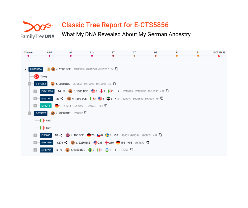 FamilyTreeDNA report showing six subclades of haplogroup E-CTS5856 linked to the author’s paternal ancestry.