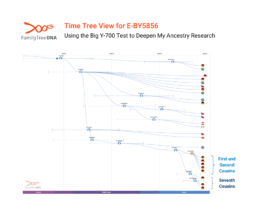 Time Tree showing haplogroup E-BY5856 branching across generations and shared paternal ancestry in Europe.