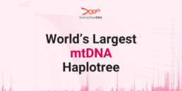 World's Largest mtDNA Haplotree - FamilyTreeDNA Blog