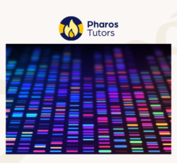 Pharos Tutors advanced DNA course image showing a colorful autosomal DNA pattern with bright neon-like data bands.