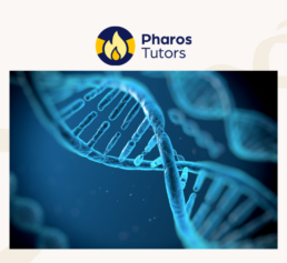 Pharos Tutors DNA course image featuring a close-up blue double helix representing genetic genealogy education.