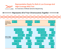 Diagram comparing low-coverage and high-coverage whole genome sequencing, showing differences in read depth and genome coverage.