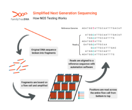 Simplified diagram showing next-generation sequencing, where DNA fragments are sequenced in parallel and aligned to a reference genome.