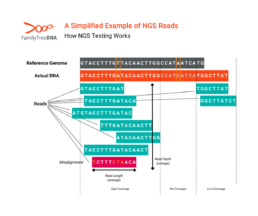 Diagram showing next-generation sequencing reads aligned to a reference genome, highlighting read depth, read length, and coverage gaps.
