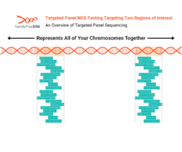 Diagram showing targeted panel NGS focusing sequencing reads on two specific regions of interest within the genome.