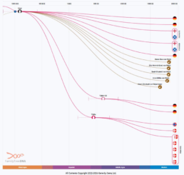 Screenshot of the mtDNA Time Tree showing haplogroup T2b8 with ancient individuals from the Riesa crypt connected to modern testers, illustrating shared maternal ancestry over time.