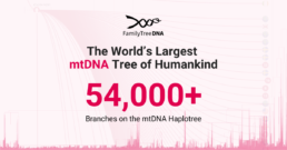 Graphic showing the world&rsquo;s largest mtDNA haplotree with more than 54,000 branches used for phylogenetic analysis