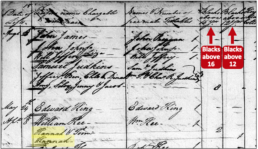 Handwritten 1794 personal property tax list for William Kea showing Hannah and her daughter Hannah, Surry County VA