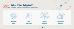 Four key themes for adoptee DNA results: adoptee lens, DNA discovery, match insights, community and rights
