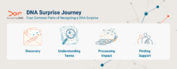 Four-part DNA surprise journey showing discovery, understanding terms, processing impact, and finding support.